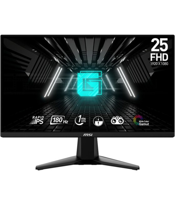 MSI G255F – 24,5-Zoll...